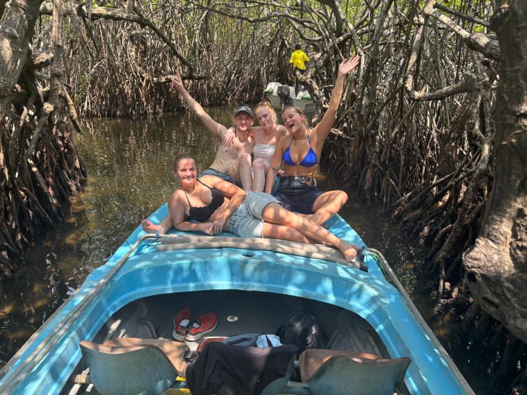 Explore the Magic of Mangrove Tunnels in Madu Ganga